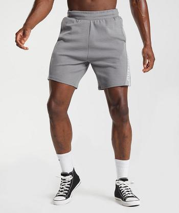 Bermudas Gymshark Bold React 5" Hombre Grises | MX_3619KOR