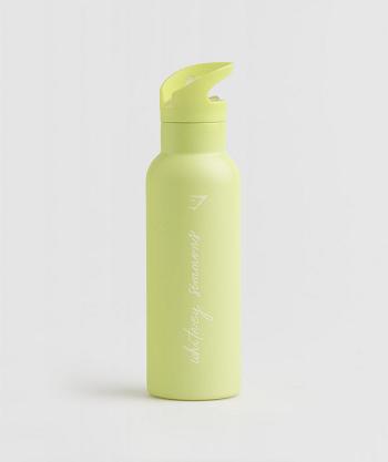 Botellas de Agua Gymshark Whitney Straw Accessories Verdes | MX_2750VRW