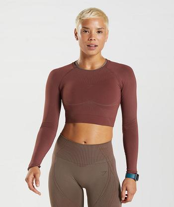 Camisa Recortada Gymshark Apex Seamless Mujer Rosas Marrom Marrom | MX_4405BEX