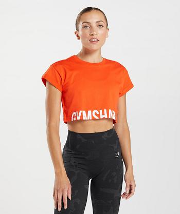 Camisa Recortada Gymshark Fraction Mujer Rojos | MX_4404VRW