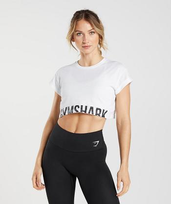 Camisa Recortada Gymshark Fraction Mujer Blancos | MX_4423JPQ