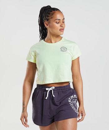 Camisa Recortada Gymshark Legacy Mujer Verdes | MX_4464DFM