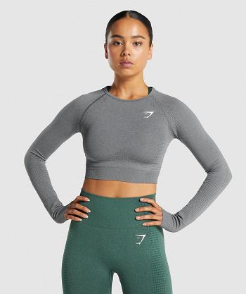 Camisa Recortada Gymshark Vital Seamless 2.0 Long Sleeve Mujer Grises | MX_4381QMA