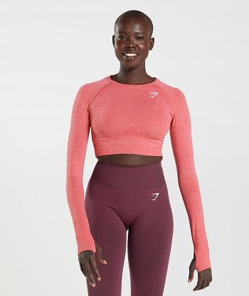 Camisa Recortada Gymshark Vital Seamless 2.0 Mujer Rojos | MX_4410AHK