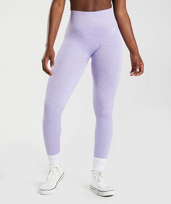 Leggins Gymshark Adapt Animal Seamless Mujer Morados | MX_4850SGL