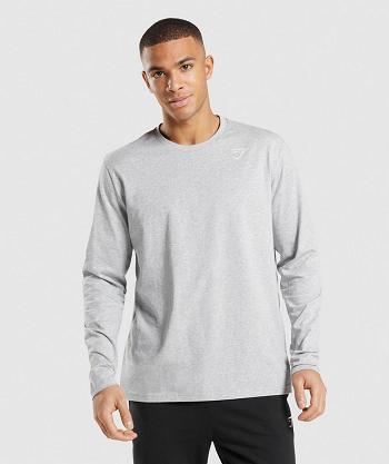 Long Sleeve Gymshark Crest Hombre Grises Claro | MX_3431DFM