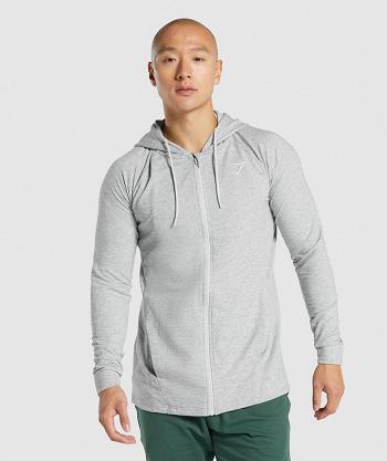 Sudadera Con Capucha Gymshark Critical 2.0 Zip Up Hombre Grises Claro | MX_3444MQZ