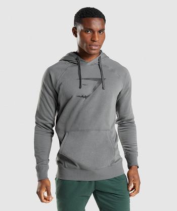 Sudadera Con Capucha Gymshark Sharkhead Infill Hombre Grises | MX_3460GSO