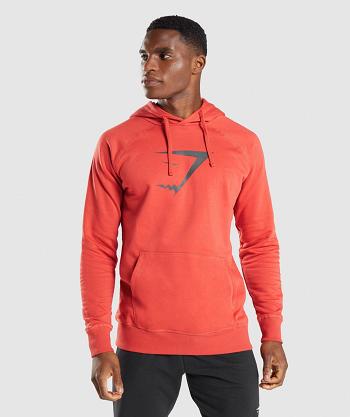 Sudadera Con Capucha Gymshark Sharkhead Infill Hombre Rojos | MX_3469BEX