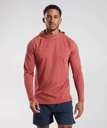 Sudadera Con Capucha Gymshark Studio Hombre Rosas Marrom | MX_3459FDN