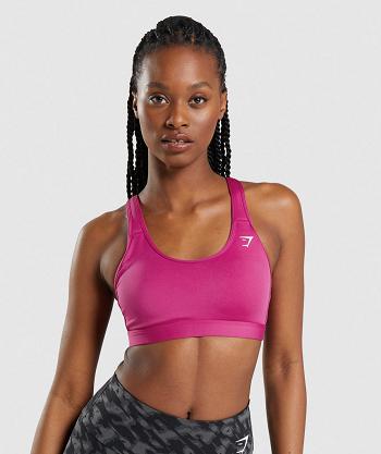 Sujetadores Deportivos Gymshark Scoop Neck Mujer Rosas | MX_4101FDN