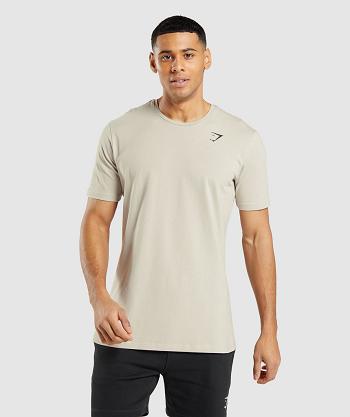 T Shirts Gymshark Essential Hombre Grises | MX_3255TCE