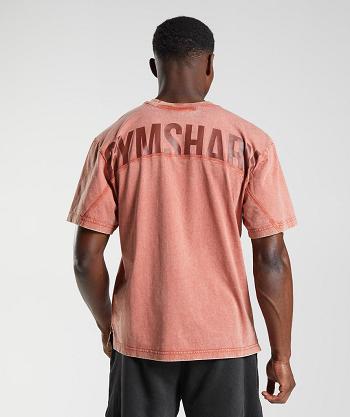 T Shirts Gymshark Power Washed Hombre Rosas Marrom | MX_3297WNB