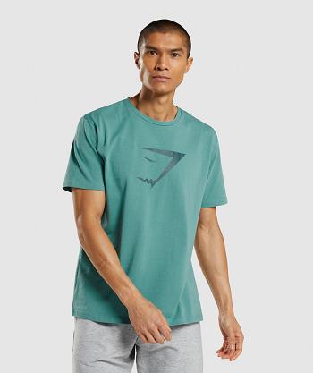 T Shirts Gymshark Sharkhead Infill Hombre Turquesa | MX_3128LIS