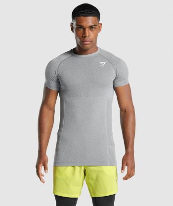 T Shirts Gymshark Vital Light Seamless Hombre Grises | MX_3163PJJ