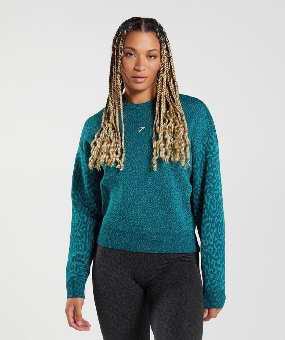 Accessories Gymshark Adapt Animal Sweatshirt Mujer Turquesa | MX_4522SGL