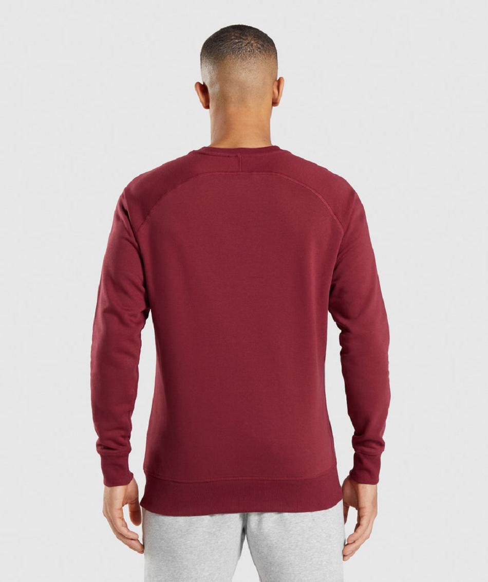 Accessories Gymshark Crest Sweatshirt Hombre Vino Rojos | MX_3522NWY