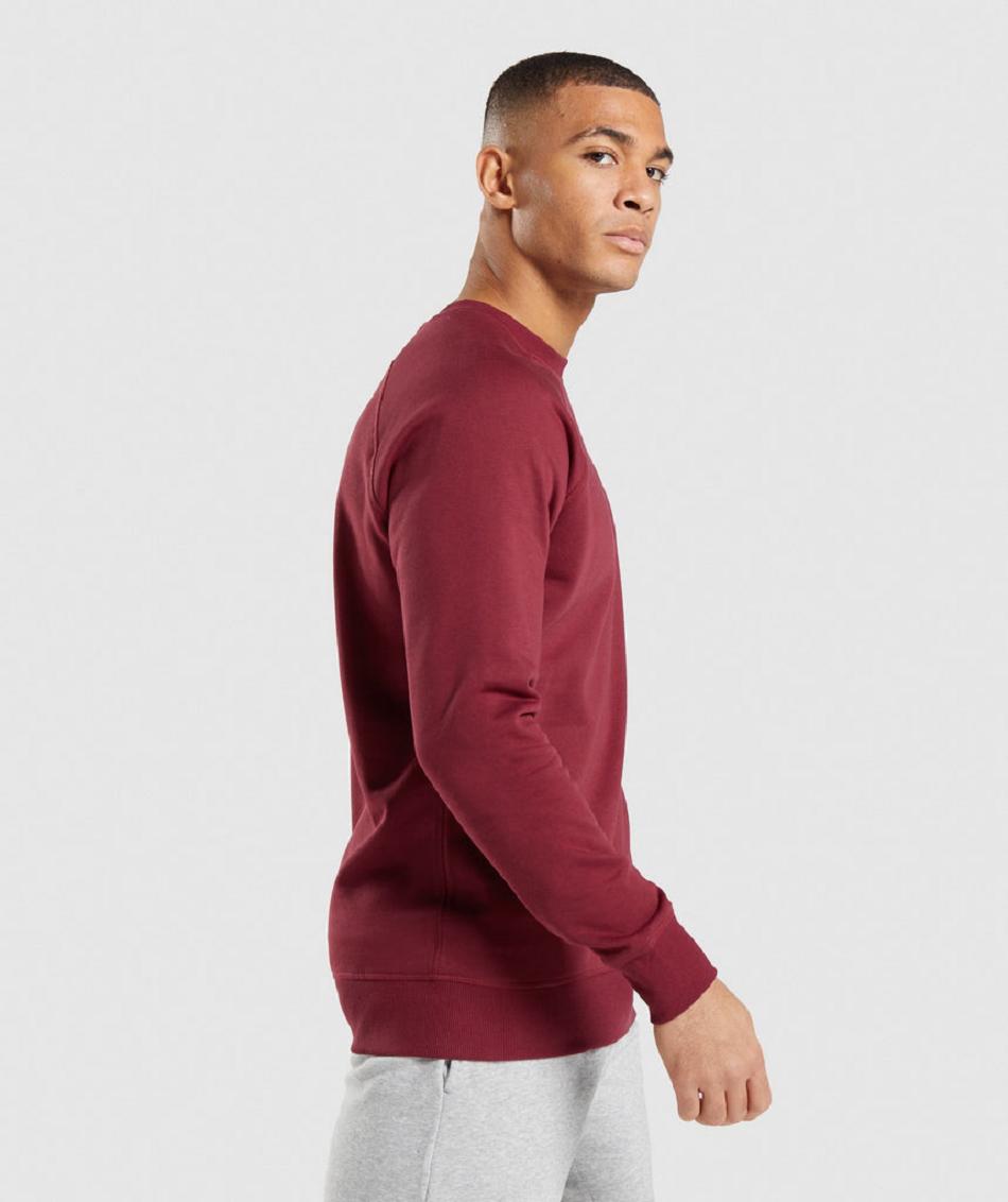 Accessories Gymshark Crest Sweatshirt Hombre Vino Rojos | MX_3522NWY