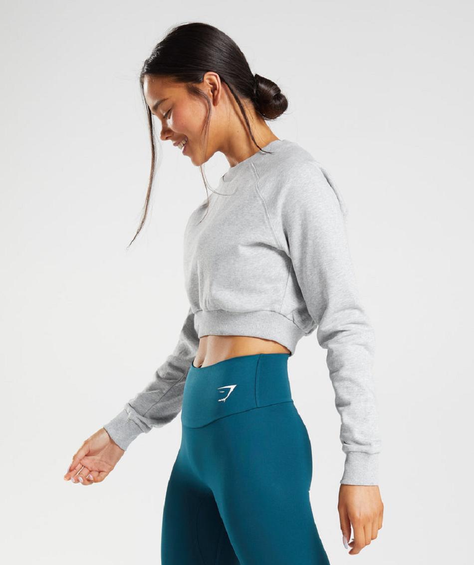 Accessories Gymshark Entrenamiento Cropped Sueter Mujer Grises Claro | MX_4523DFM