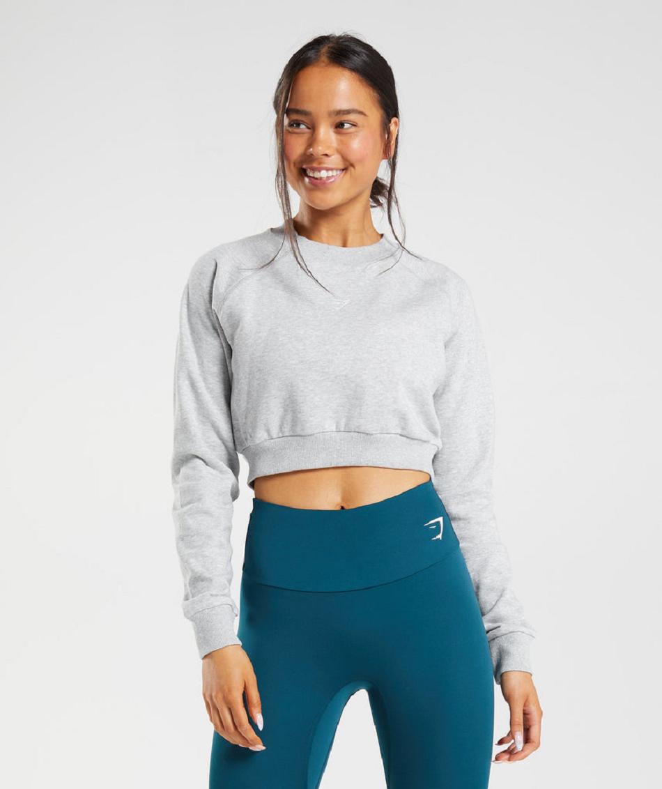 Accessories Gymshark Entrenamiento Cropped Sueter Mujer Grises Claro | MX_4523DFM