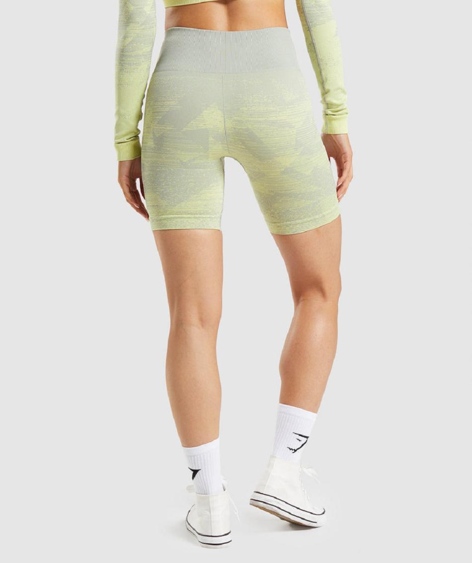 Bermudas Gymshark Adapt Ombre Seamless Mujer Grises Marrom Grises | MX_4602DFM