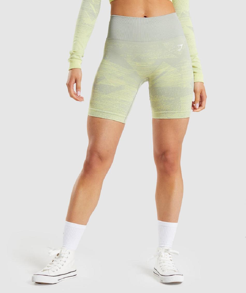 Bermudas Gymshark Adapt Ombre Seamless Mujer Grises Marrom Grises | MX_4602DFM