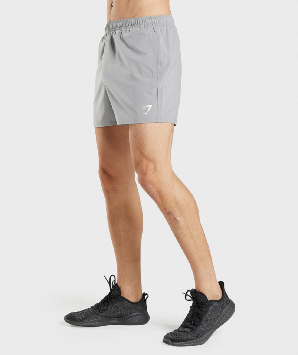 Bermudas Gymshark Arrival 5