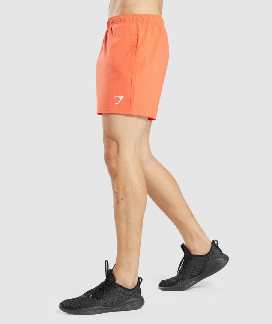 Bermudas Gymshark Arrival 5