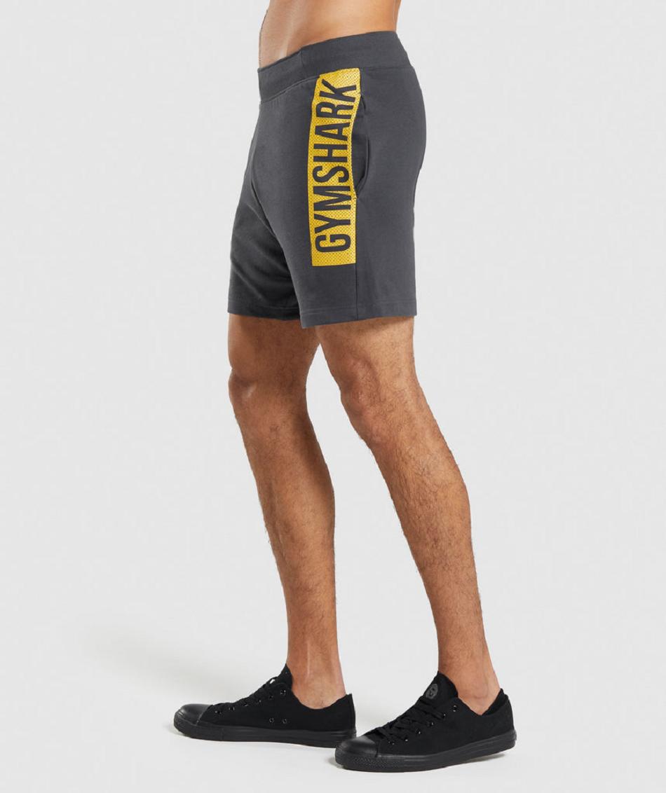 Bermudas Gymshark Bold Hombre Negros Grises | MX_3589GSO