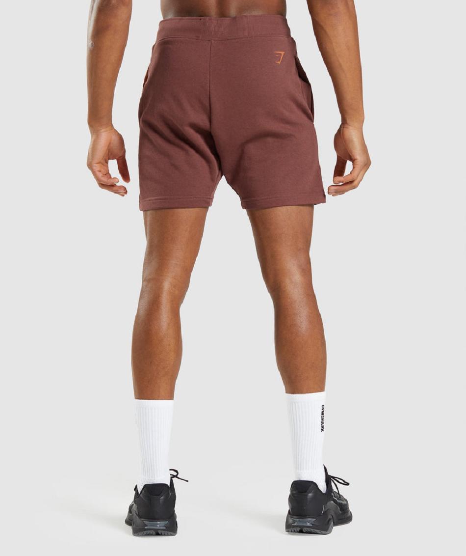 Bermudas Gymshark Bold Hombre Rosas Marrom | MX_3621ZUT