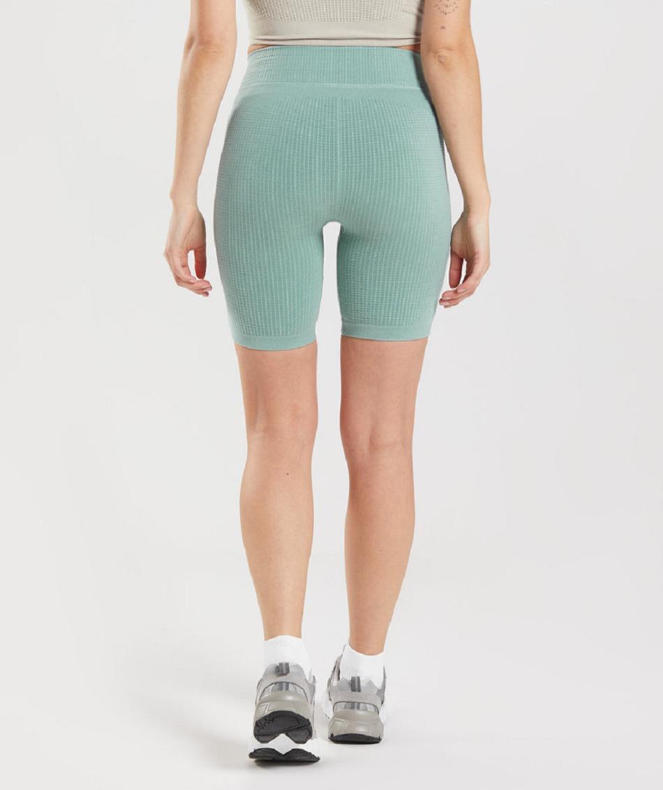 Bermudas Gymshark Pause Seamless Cycling Mujer Azules | MX_4638BEX