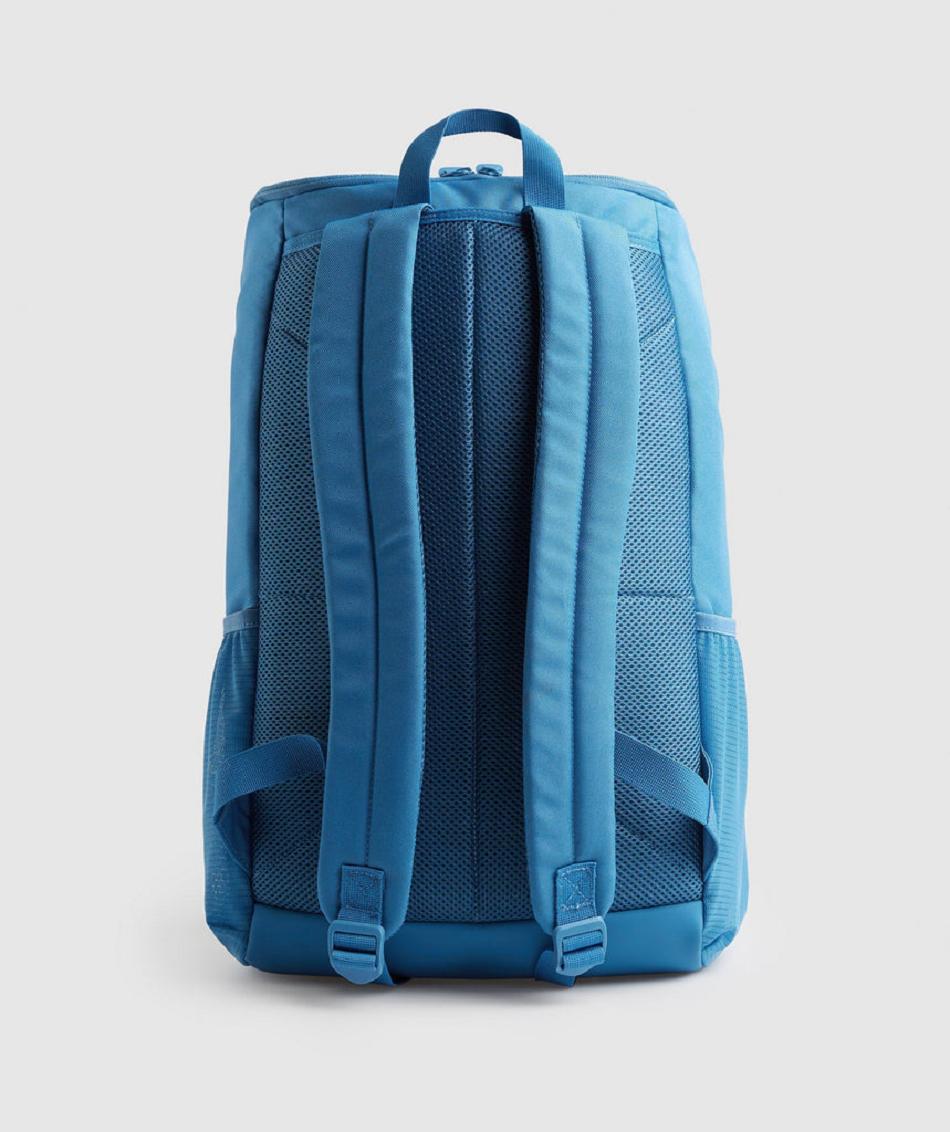 Bolsas Gymshark Sharkhead Backpack Accessories Azules | MX_2878OKI