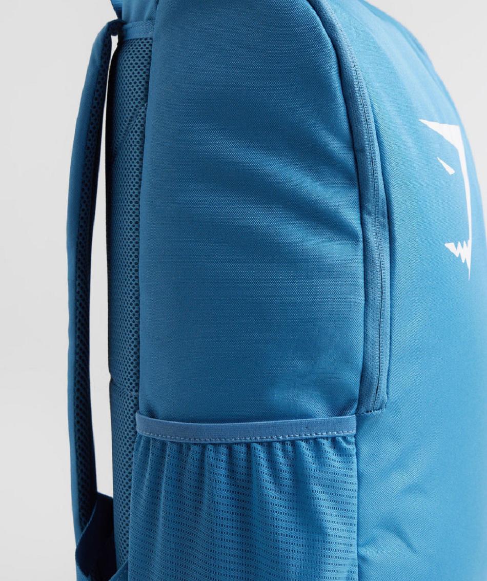 Bolsas Gymshark Sharkhead Hombre Azules | MX_3872AHK