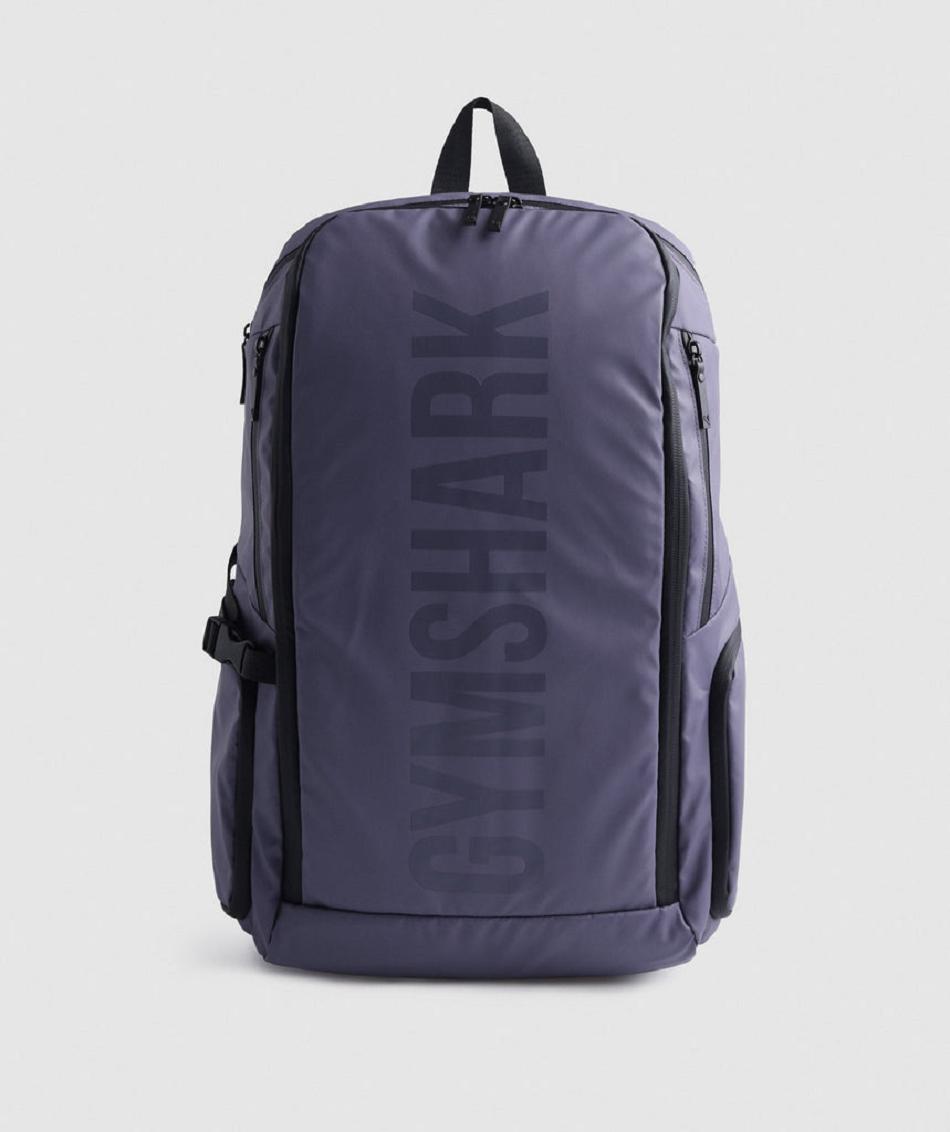 Bolsas Gymshark X-Series 0.3 Backpack Accessories Morados | MX_2895MQZ