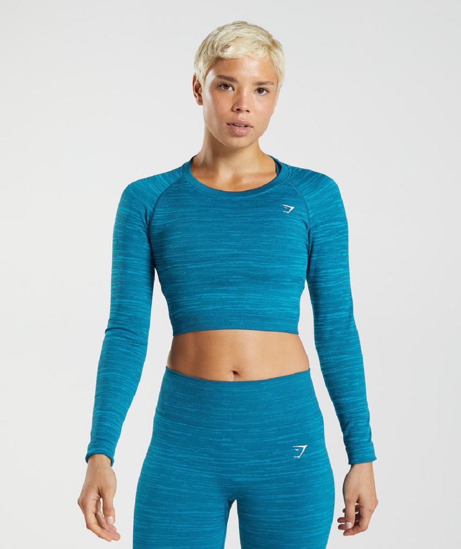 Camisa Recortada Gymshark Adapt Marl Seamless Long Sleeve Mujer Azules Grises Oscuro Azules | MX_4346JPQ