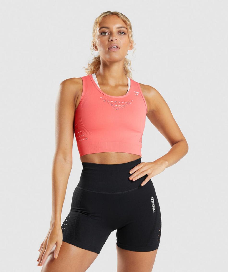 Camisa Recortada Gymshark Energy Seamless Mujer Rosas | MX_4476KOR