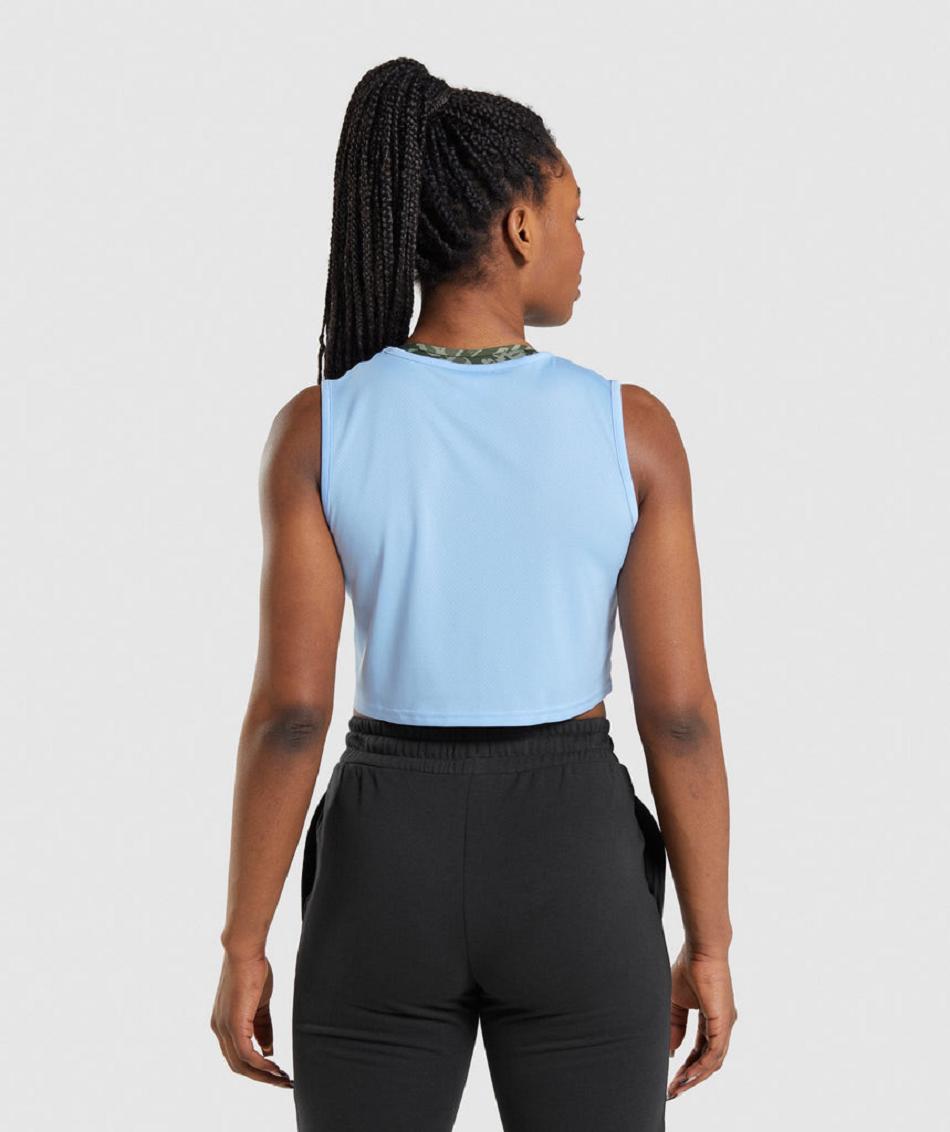 Camisa Recortada Gymshark Entrenamiento Mujer Azules | MX_4415HAP