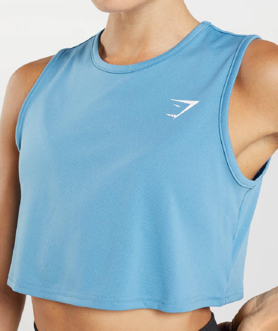 Camisa Recortada Gymshark Entrenamiento Mujer Azules | MX_4419DFM