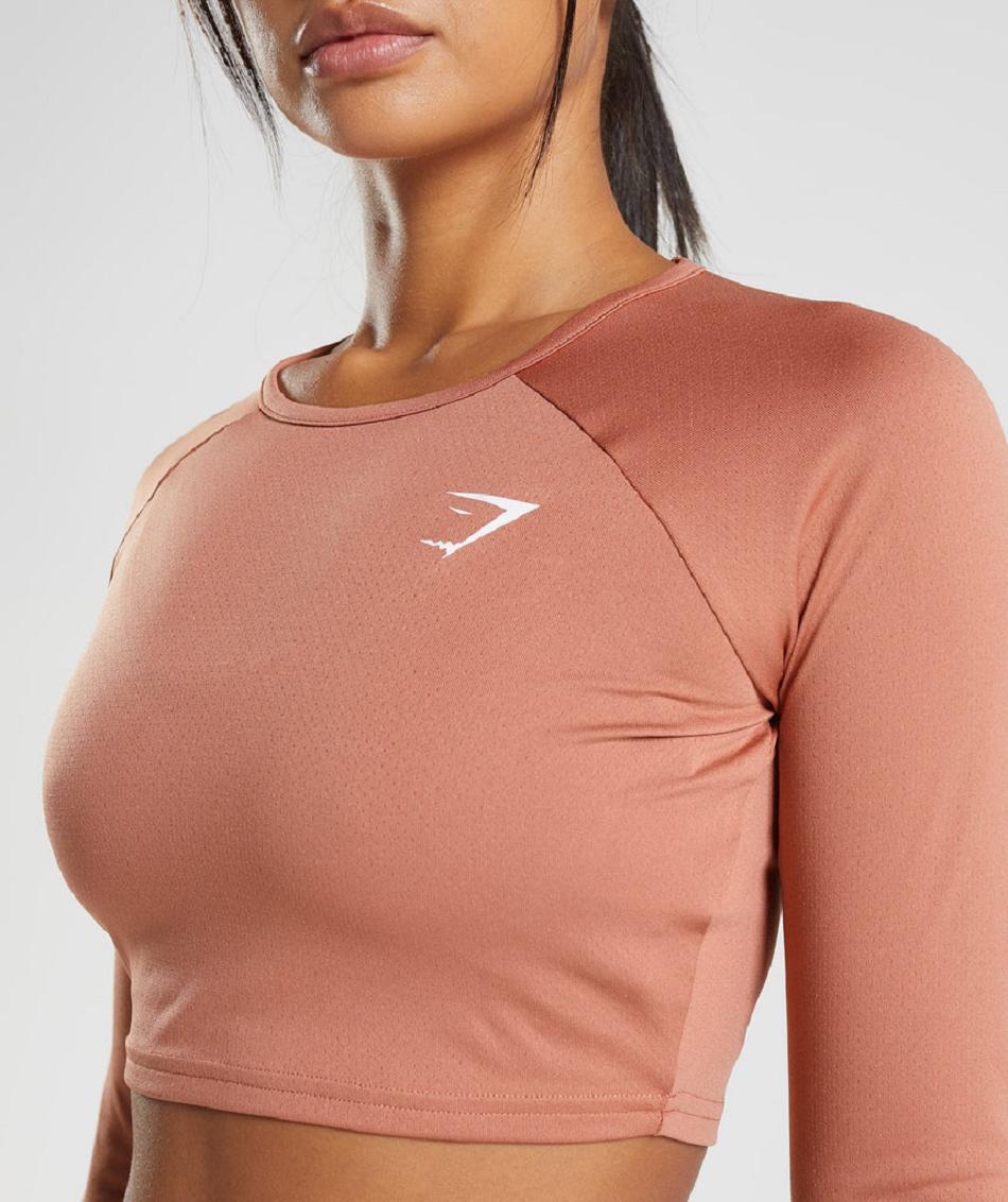 Camisa Recortada Gymshark Entrenamiento Long Sleeve Mujer Marrom | MX_4433QMA