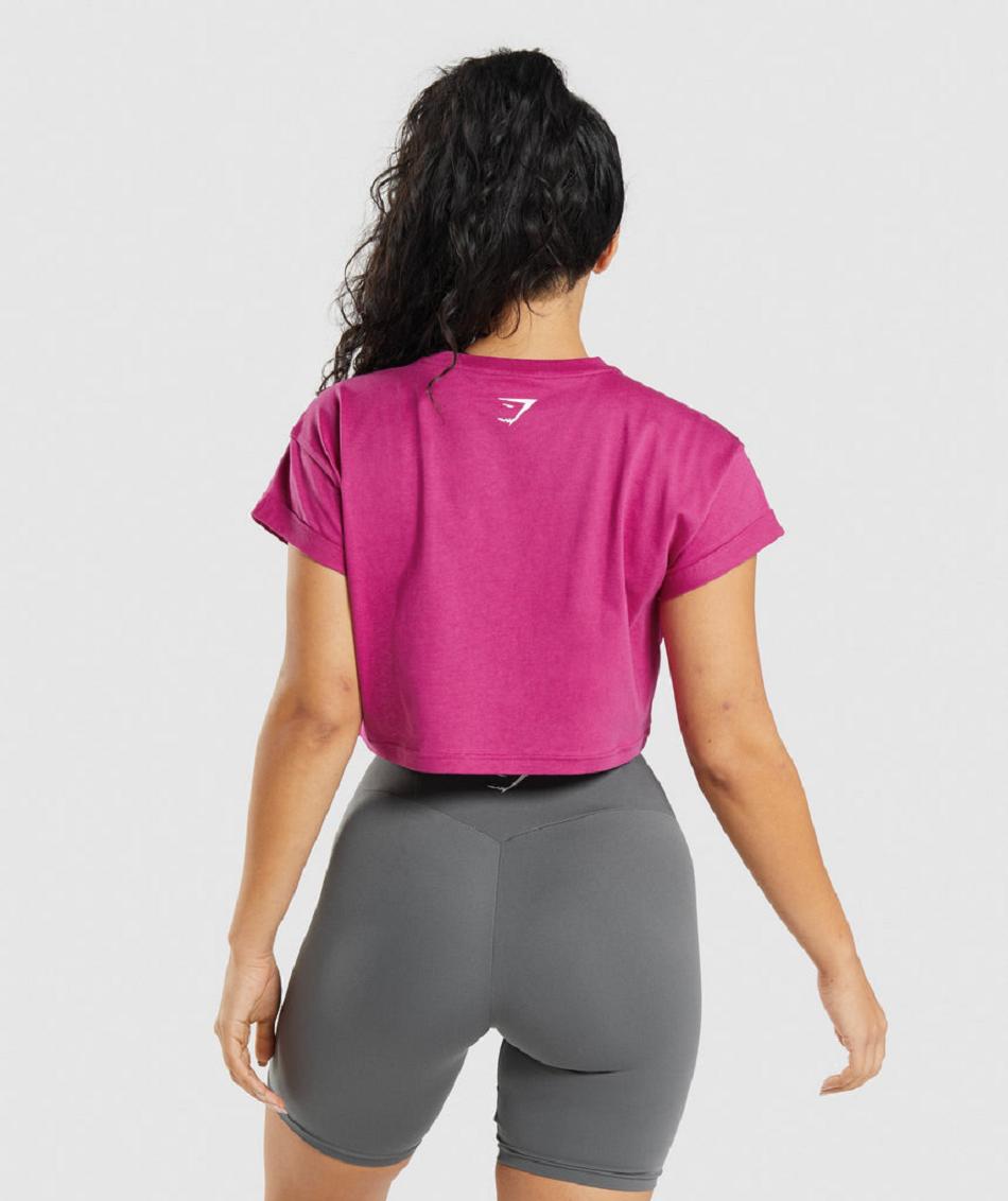 Camisa Recortada Gymshark Fraction Mujer Rosas | MX_4366SGL