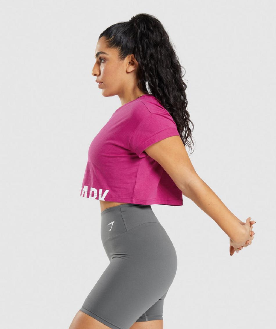 Camisa Recortada Gymshark Fraction Mujer Rosas | MX_4366SGL