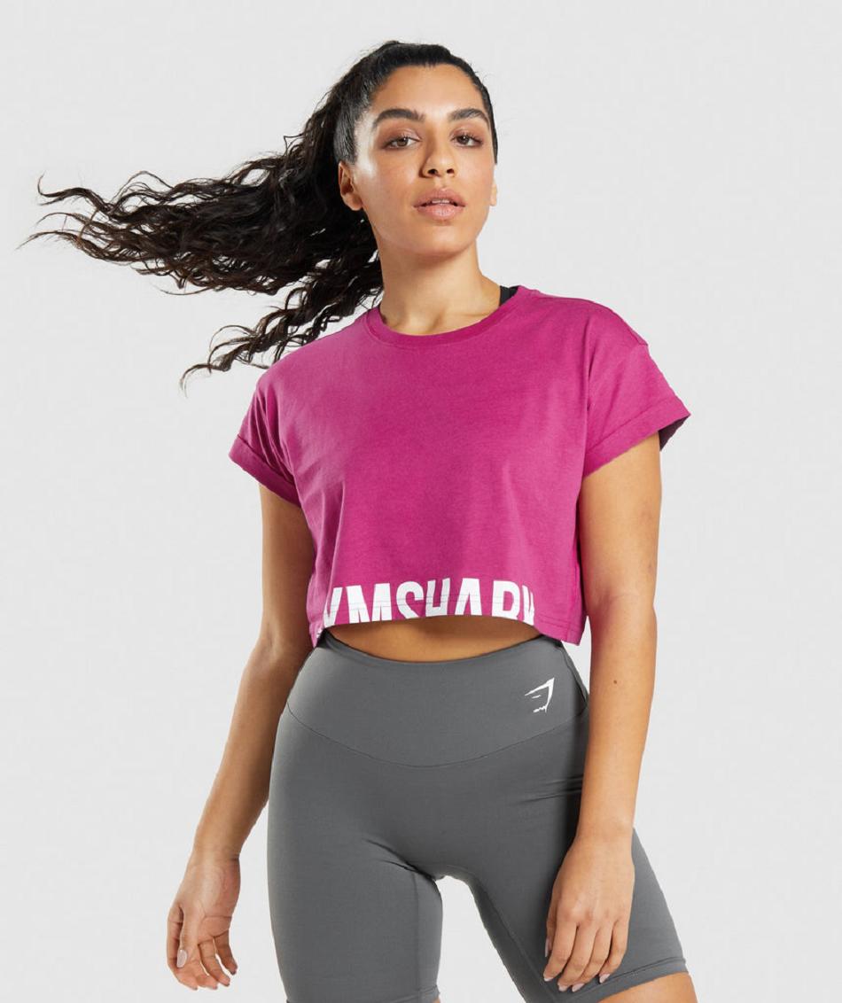 Camisa Recortada Gymshark Fraction Mujer Rosas | MX_4366SGL