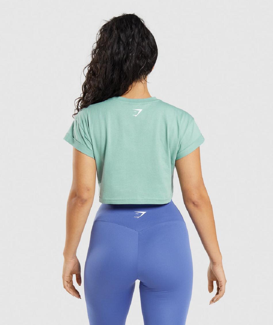 Camisa Recortada Gymshark Fraction Mujer Azules | MX_4373LIS