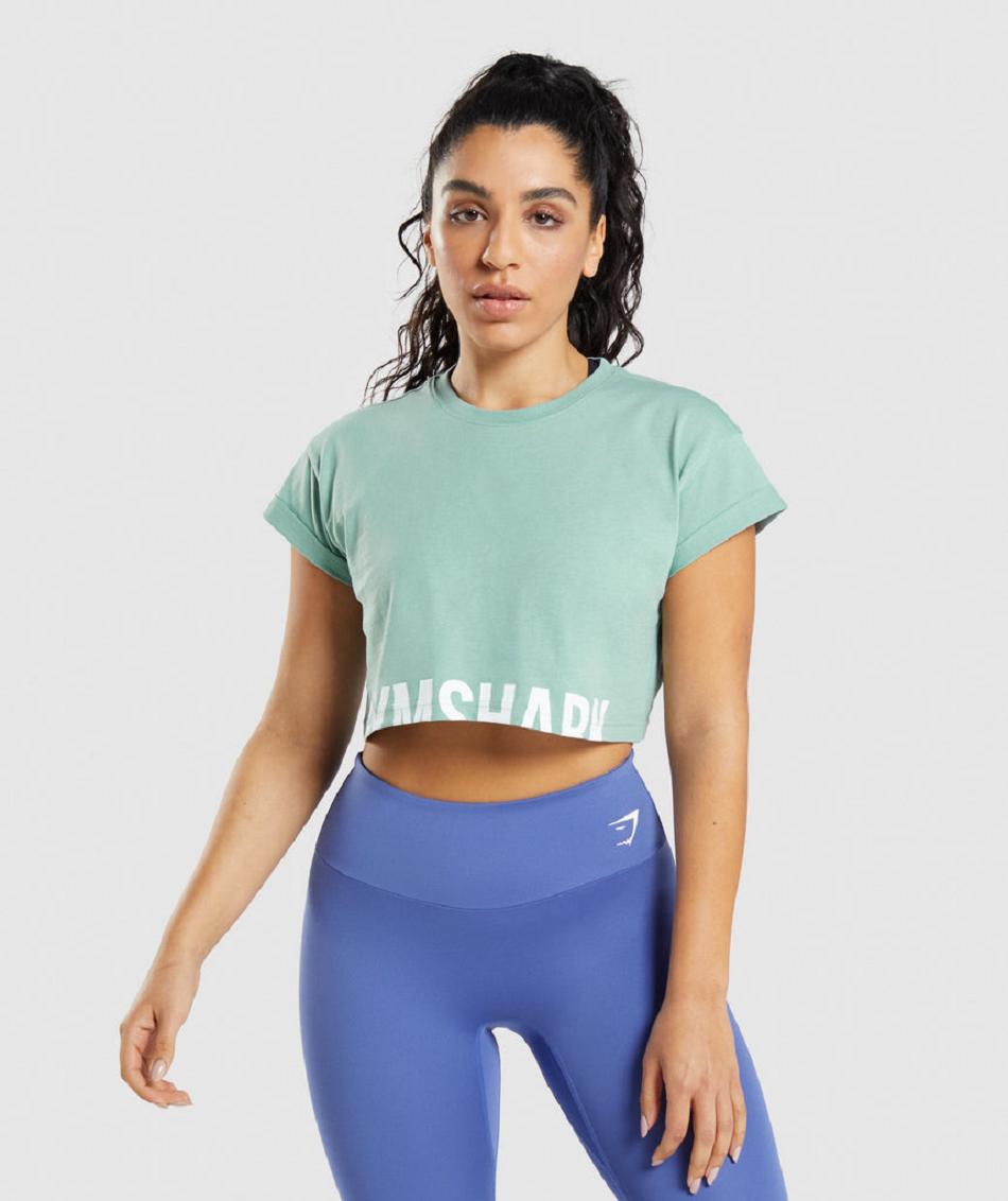 Camisa Recortada Gymshark Fraction Mujer Azules | MX_4373LIS