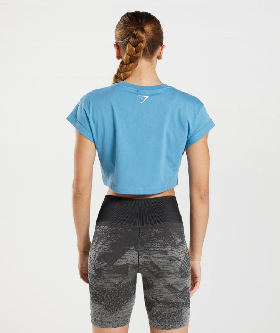 Camisa Recortada Gymshark Fraction Mujer Azules | MX_4403CTV