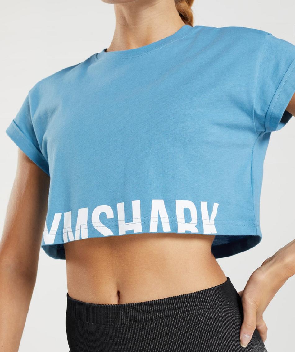 Camisa Recortada Gymshark Fraction Mujer Azules | MX_4403CTV