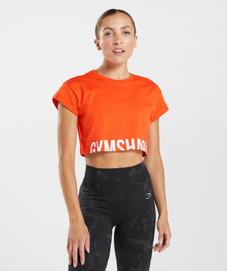 Camisa Recortada Gymshark Fraction Mujer Rojos | MX_4404VRW