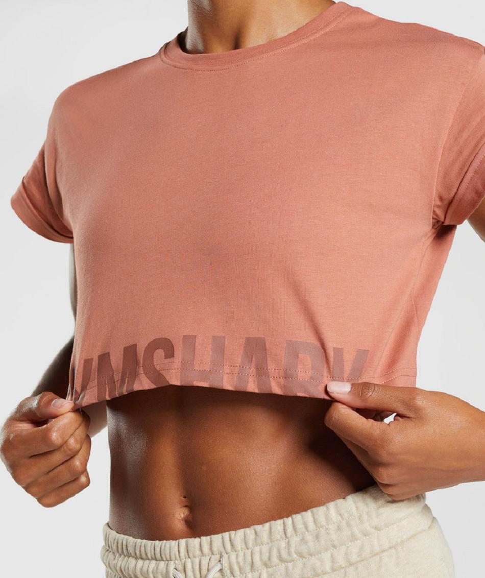 Camisa Recortada Gymshark Fraction Mujer Marrom | MX_4425LIS