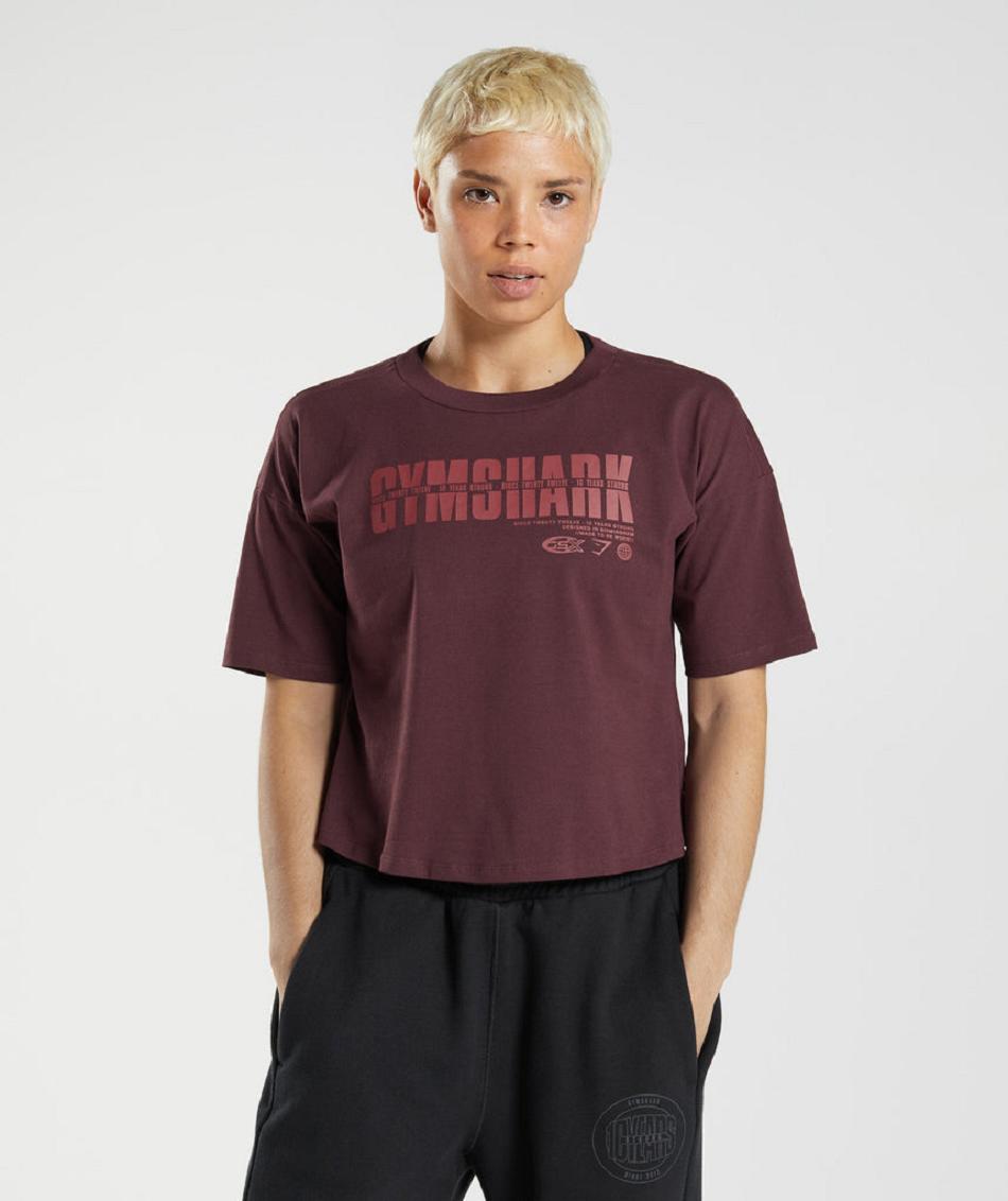 Camisa Recortada Gymshark Gs10 Year Midi Mujer Vino | MX_4426ZUT