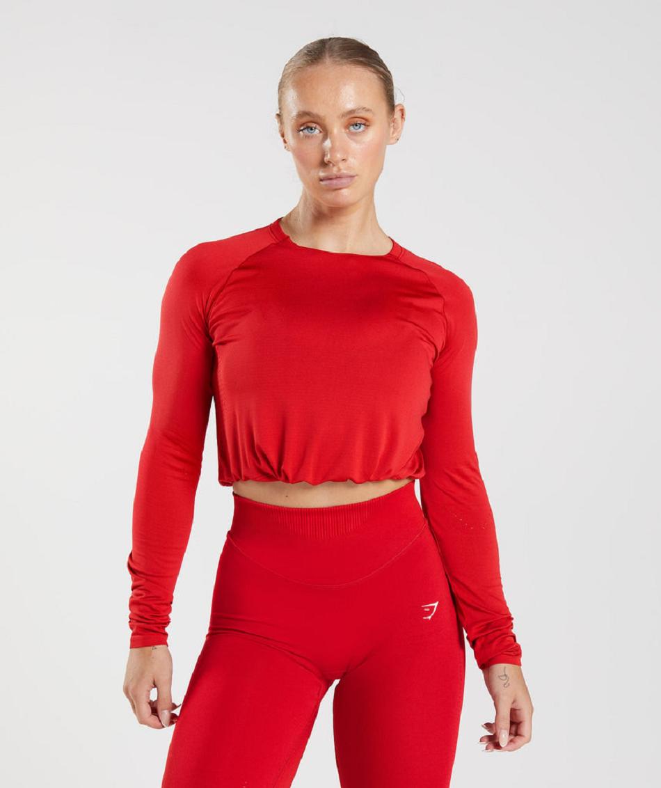 Camisa Recortada Gymshark Sweat Seamless Long Sleeve Mujer Rojos | MX_4396GSO